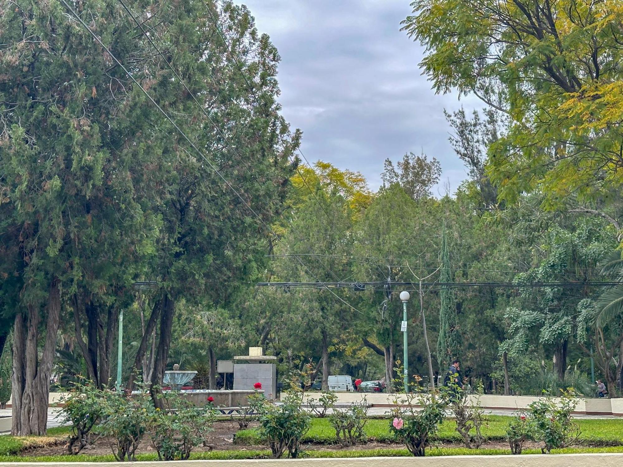 Estudio En Chapalita Estilo Y Confort Total 03 Guadalajara Buitenkant foto