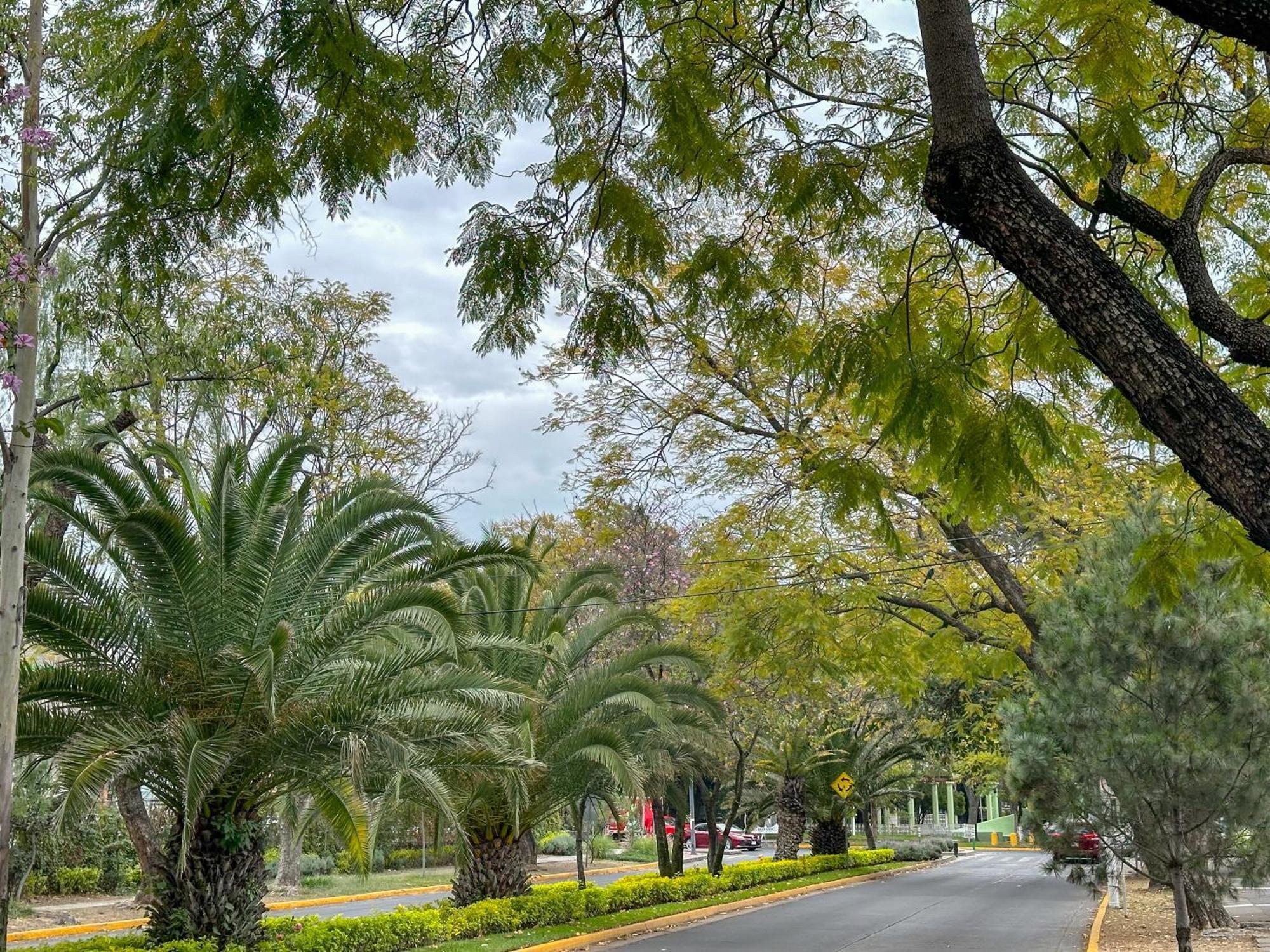 Estudio En Chapalita Estilo Y Confort Total 03 Guadalajara Buitenkant foto